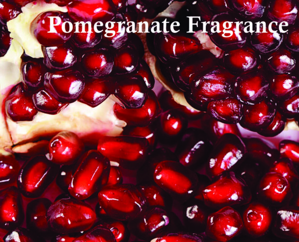 Boheme Elixir Eau de Parfum For Unisex | Tonka Bean and Patchouli Fragrance | Boheme Elixir 100ml Perfume Made in Dubai - Image 4