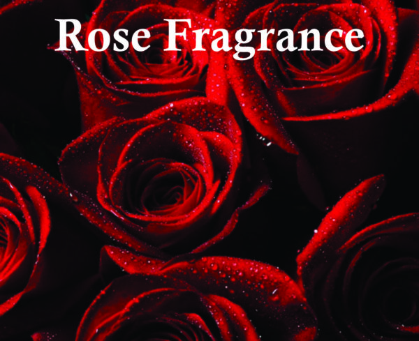 Cash Pink  Eau de Parfum for Unisex 100ml | Rose, Vanilla and Jasmine Fragrance | Cash Pink Perfume Made in Dubai - Image 4