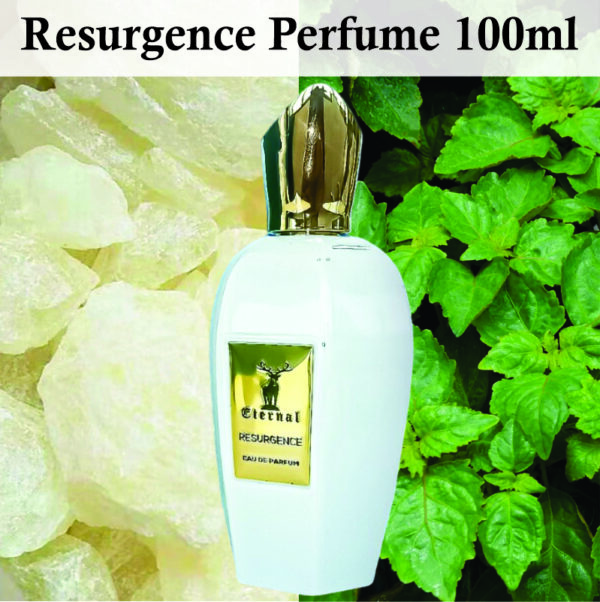 Inspired - Renaissance Perfume | Resurgence Eau De Parfum for Unisex 100ml | Bergamot and Amber Fragrance Made in Dubai - Image 2