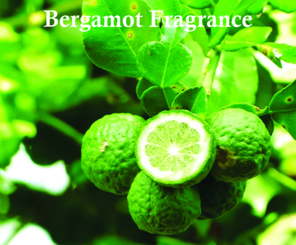 Inspired - Afternoon Swim perfume | Soaked Sun Parfum for Unisex 100ml | Lemon and Orange Fragrance Made in Uae - Image 6