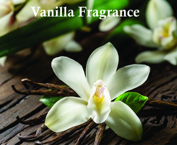 Shanaya Eau De Parfum for Women 100ml | Vanilla, Musk and Sandalwood Fragrance| Riiffs Shanaya Perfume Made in Dubai - Image 5