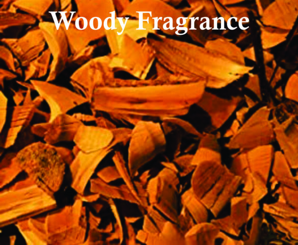 Tamima Eau De Parfum for Unisex 100ml | Woody, Jasmine and Sandalwood Fragrance| Tamima Perfume Made in Dubai - Image 5