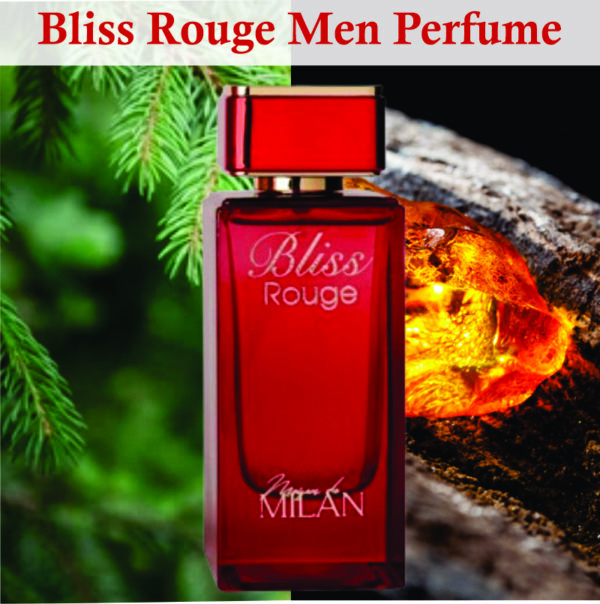 Bliss rouge Eau De Parfum for Men 100ml | Vanilla, Musk and Amber  Fragrance | Inspired Ventura Blanc Made in Uae - Image 2