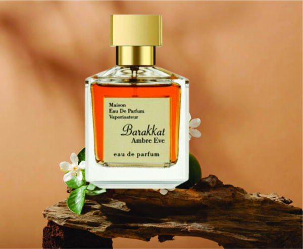 Barakkat Ambre Eve For Men and Women | Amber ,Vanilla and Cedar Fragrance | Barakkat Ambre Eve 100ml Made in Dubai - Image 4