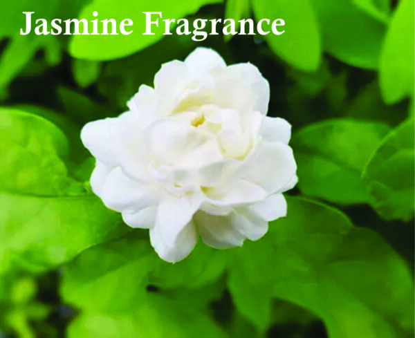 Pack of 2 - Black Stone Spray for Women 200ml | Vanilla, Orange Blossom and Jasmine Fragrance | Made in Uae - Image 5