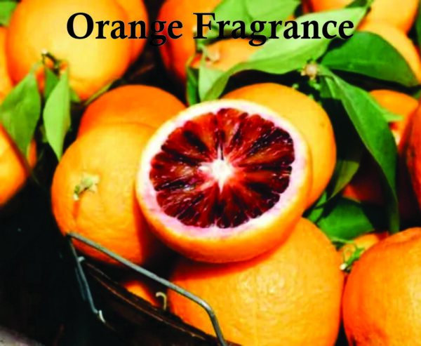 Luxury Vert Women Eau De Parfum 100ml | Jasmine, Ylang and Bitter Orange Fragrance | Riiffs Luxury Vert Made in Dubai - Image 6