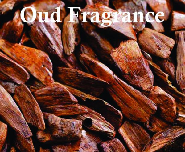 Arabian Oud Perfume - Inspired Eternal Oud Perfume | Eternal Unisex Eau De Parfum 100ml | Vanilla and Amber Fragrance - Image 5