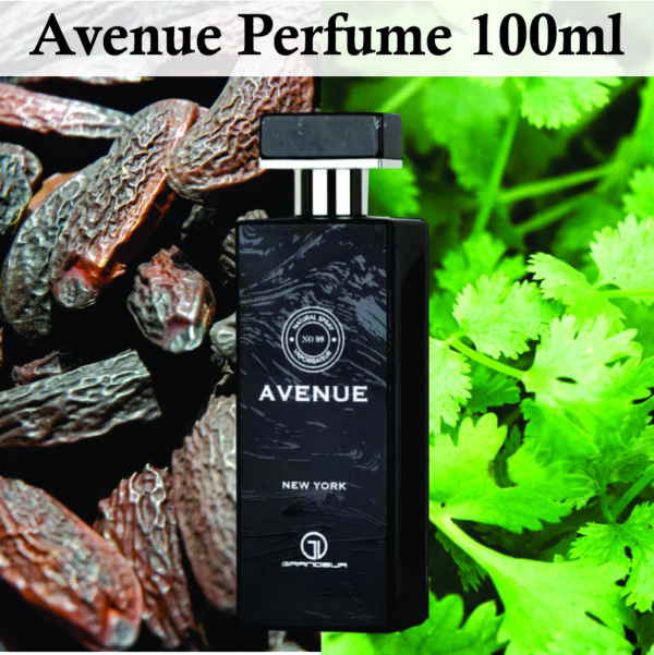 Avenue Edp Eau De Parfum for Men 100ml | Bergamot and Vanilla Fragrance | Inspired 5TH Avenue Perfume Made in Dubai - Image 2