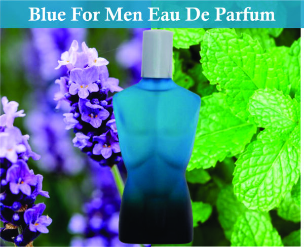 Blue For Men Eau De Parfum for Men 100ml | Vanilla and Bergamot Fragrance | Inspired La male Perfume For Men - Image 2