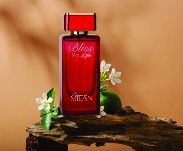 Bliss rouge Eau De Parfum for Men 100ml | Vanilla, Musk and Amber  Fragrance | Inspired Ventura Blanc Made in Uae - Image 4