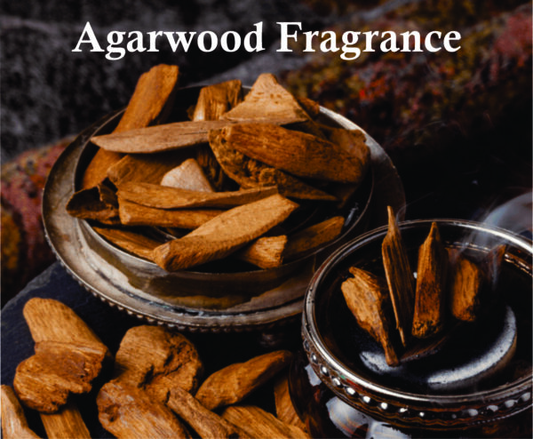 Satin Oud Eau De Parfum for Women 100ml | Agarwood, Bergamot and Lavender Fragrance| Riiffs Oud Perfume Made in Dubai - Image 6