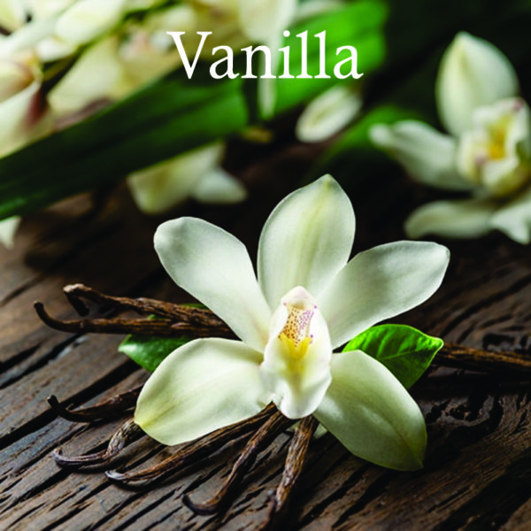 Inspired - Vanilla Sex | Sexy Vanilla Perfume oil Unisex 8ml | Vanilla and Sandalwood Fragrance | Vanilla Perfume oil - Image 4