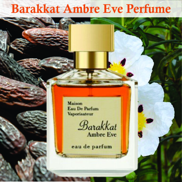 Barakkat Ambre Eve For Men and Women | Amber ,Vanilla and Cedar Fragrance | Barakkat Ambre Eve 100ml Made in Dubai - Image 2