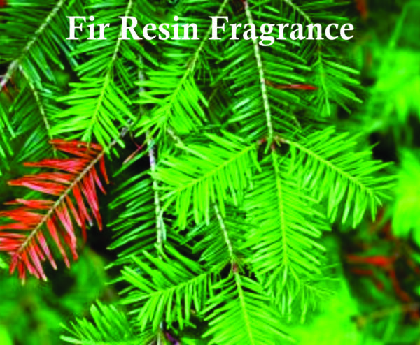 Best Rouge 5440 Perfume oil for Unisex | Saffron,Cedar and Jasmine Fragrance | Perfume oil for Unisex Made in Uk - Image 4
