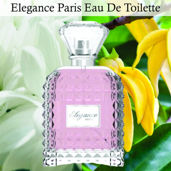 Elegance Paris Eau De Toilette for Women 100ml | Vanilla, Jasmine and Woody Fragrance | Elegant for Women Made in China - Image 2