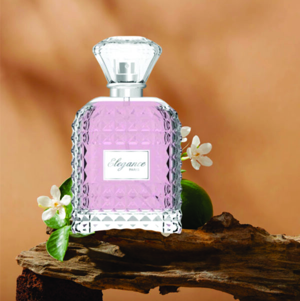 Elegance Paris Eau De Toilette for Women 100ml | Vanilla, Jasmine and Woody Fragrance | Elegant for Women Made in China - Image 5