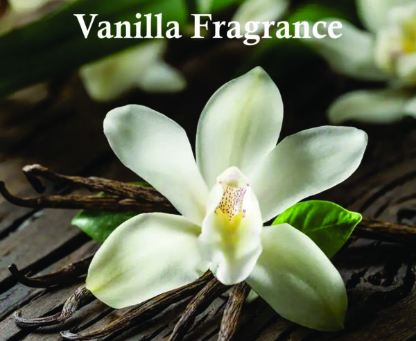 Rose Mystery Eau De Parfum for Unisex | Bergamot, Rose and Jasmine Fragrance | Rose Perfume for Unisex Made in Uae - Image 5