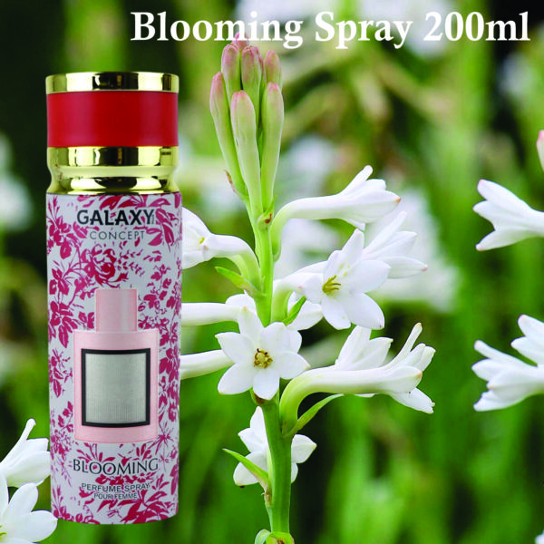 Pack of 2- Galaxy Concept Blooming Spray for Women 200ml | Jasmine and Amber Fragrance | Blooming Body Spray Made in Uae - Image 3
