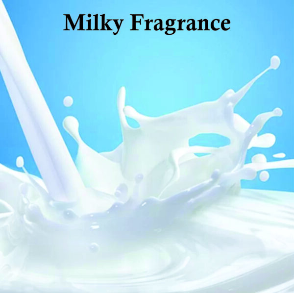 Spanish Vanilla Eau De Parfum for Unisex 100ml | Vanilla, Warm and Sweet Fragrance, Vanilla Perfume Made in Uae - Image 5