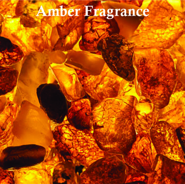 Alien Perfume oil for Women 8ml | Jasmine, Cashmeran and Amber Fragrance Perfume oil | Alien’s Perfume oil Made in UK - Image 4