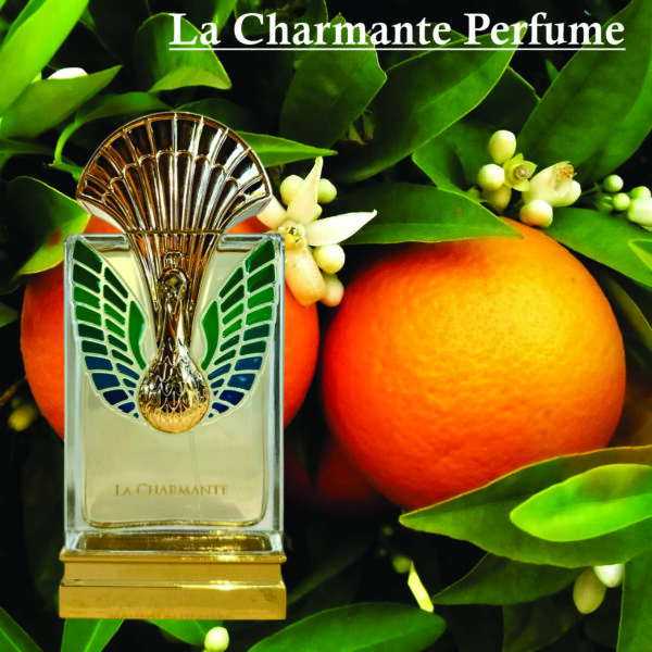 La Charmante Perfume for Unisex 100ml | Vanilla, Bergamot and Sandalwood Fragrance | Perfume for Unisex Made in Uae - Image 4