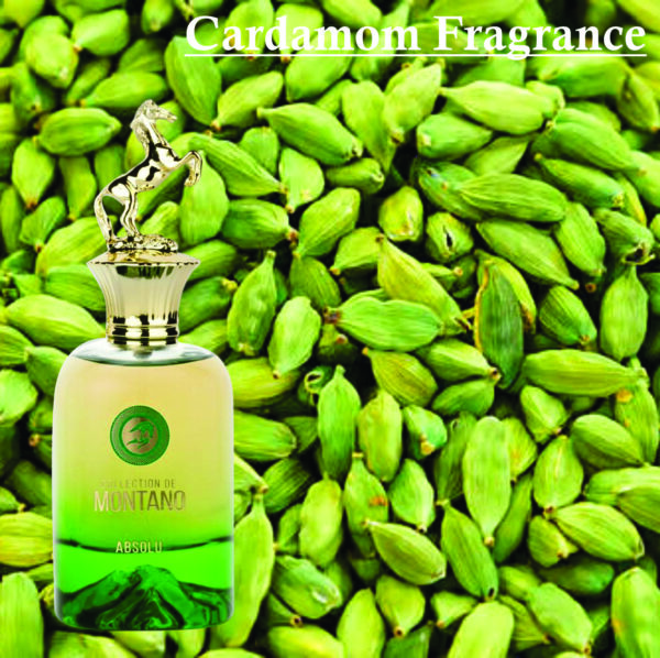 Inspired Gris Charnel Extrait Perfume | Montano Perfume for Unisex 100ml | Patchouli Leaf, Vanilla and Cedar Fragrance - Image 3