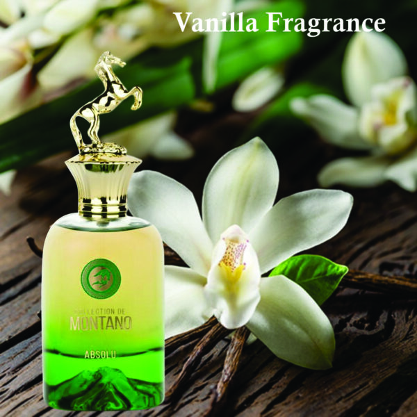 Inspired Gris Charnel Extrait Perfume | Montano Perfume for Unisex 100ml | Patchouli Leaf, Vanilla and Cedar Fragrance - Image 4