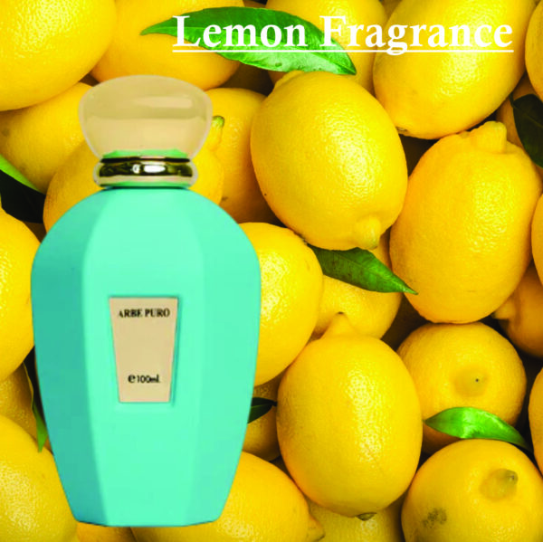 Erba Pura Perfume Inspired Alternative Perfume | Arbe Puro Eau De Parfum for Unisex 100ml | Vanilla and Fruity Fragrance - Image 3