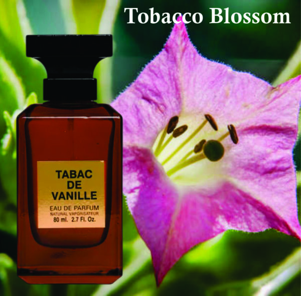 Inspired Tobacco Vanilla Perfume | Tabac De Vanille Eau De Parfum for Unisex | Vanilla, Spicy and Tobacco Fragrance - Image 4
