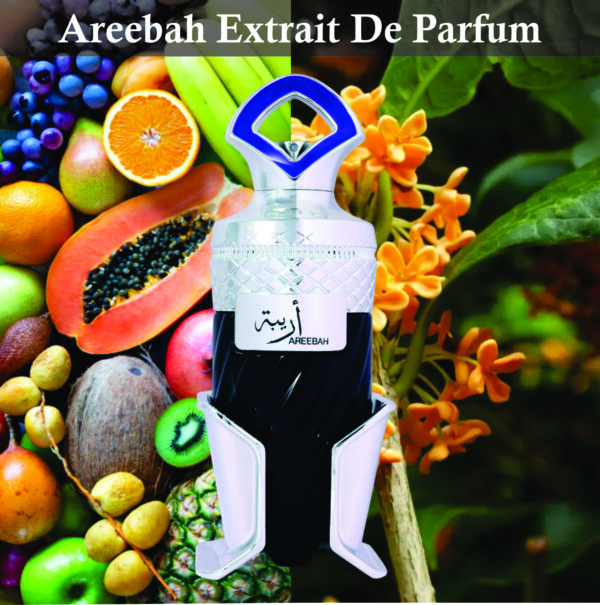 Areebah Extrait De Parfum For Unisex 100ml | Saffron,Oud and Vanilla Fragrance| Perfume Spray For Unisex Made in Dubai - Image 2