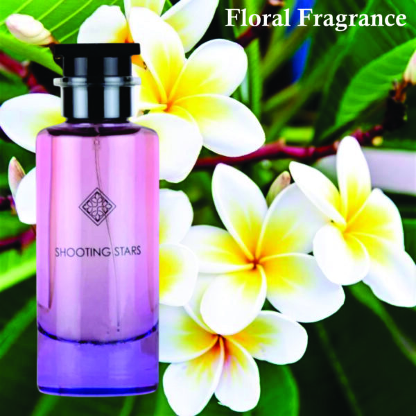 Inspired  City Of Stars Perfume | Shooting Stars Edp Unisex Perfume 100ml | Bergamot & Sandalwood Fragrance Made in Uae - Image 4