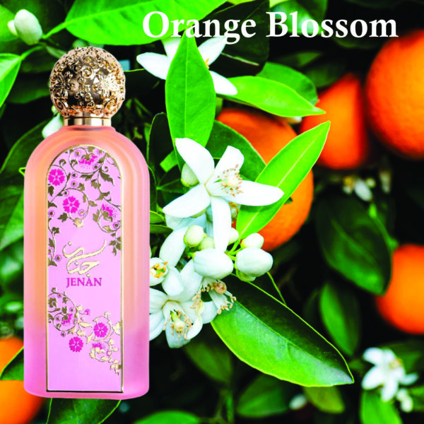 Inspired Good Girl Perfume | Jenan Edp Eau De Parfum for Women 100ml | Rose, Raspberry and Musk Fragrance - Image 3