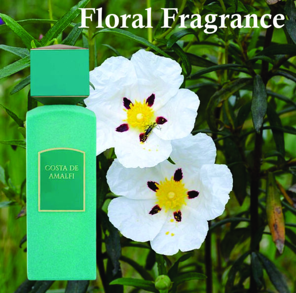 Inspired Amalfi Coast Perfume | Costa De Amalfi Perfume For Men and Women 100ml| Jasmine,Musk and Grapefruit Fragrance - Image 3