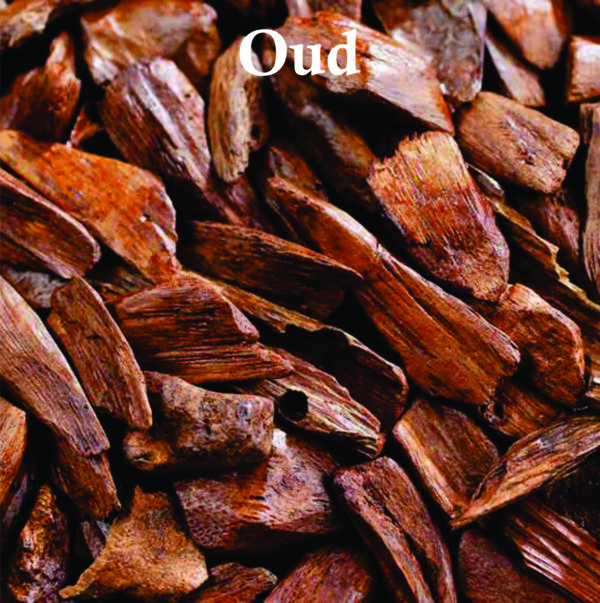 Velvet rose & oud Perfume oil For Men and Women 8ml | Agarwood,Floral and Oriental Fragrance - Image 5
