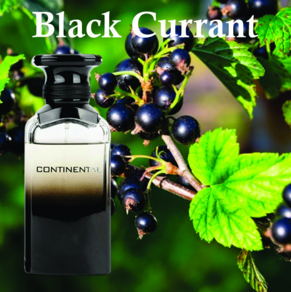 Inspired Aventus Perfume | Continental Eau De Perfume For Men | Vanilla, Bergamot and Musky Fragrance - Image 3