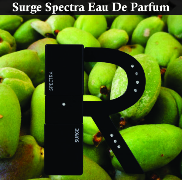 Surge Spectra Men & Women Eau De Parfum 100ml | Nutmeg, Patchouli and Vanilla Fragrance | Perfume For Unisex Made in Uae - Image 2
