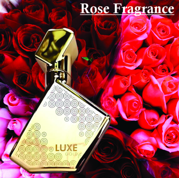 Luxe Gold Eau De Parfum For Men & Women 100ml | Rose, Oud Wood and Musky Fragrance | Perfume For Unisex Made in Uae - Image 3