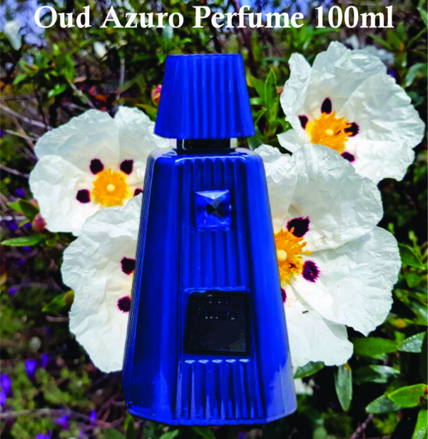 Oud Azuro Eau De Parfum Spray for Men 100ml | Vanilla, Fruity and Patchouli Fragrance| Men Perfume Spray for Men - Image 2