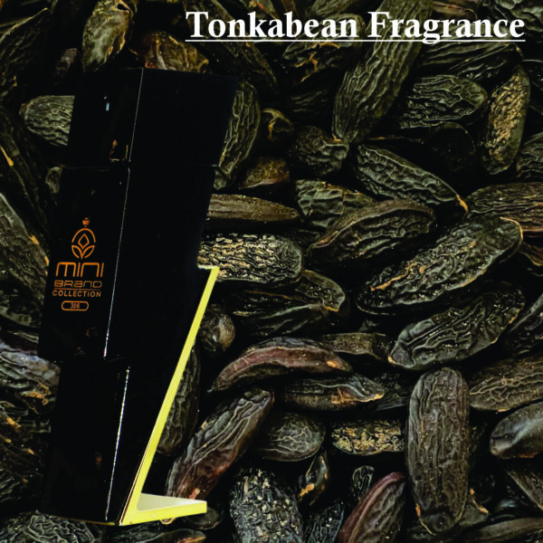 Mini 306 Eau De Parfum For Men 25ml | Bergamot, Cedarwood and Tonkabean Fragrance | Fragrance For Men Made in Uae - Image 4