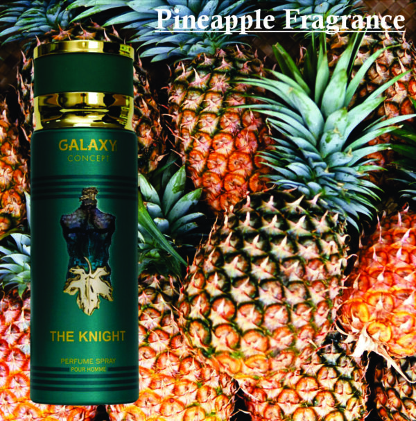 Pack of 2- The Knight Perfume Spray for Men 200ml | Pineapple, Coconut and Woody Fragrance| Spray for Men Made in Uae - Image 3