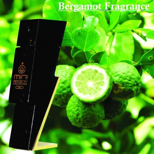 Mini 306 Eau De Parfum For Men 25ml | Bergamot, Cedarwood and Tonkabean Fragrance | Fragrance For Men Made in Uae - Image 3